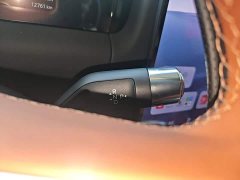 Geely Galaxy M9 2025 230km Two-Wheel Drive Explorer Edition - ფოტო 13