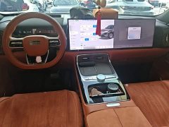 Geely Galaxy M9 2025 230km Two-Wheel Drive Explorer Edition - ფოტო 9