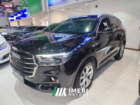 2021 Haval H6 National Trend 1.5T Automatic Champion Edition - ავტომობილი ჩინეთიდან