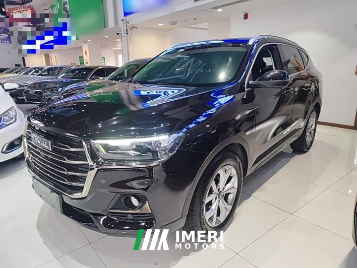 Haval H6 National Trend 1.5T Automatic Champion Edition