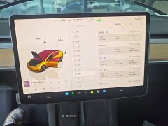 Tesla Model 3 Rear-Wheel Drive - ფოტო 11