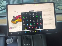 Tesla Model 3 Rear-Wheel Drive - ფოტო 12