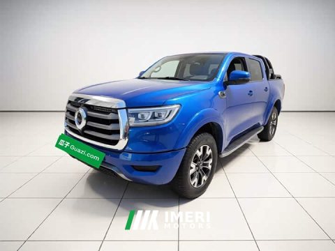 2021 Haval Cannon 2.0T Passenger Global Edition Automatic Gasoline 2WD Comfort Standard Box GW4C20B - ავტომობილი ჩინეთიდან