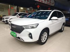 Haval M6 PLUS 1.5T DCT Luxury Smart Connected Edition - ფოტო 1