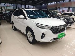 Haval M6 PLUS 1.5T DCT Luxury Smart Connected Edition - ფოტო 3