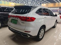 Haval M6 PLUS 1.5T DCT Luxury Smart Connected Edition - ფოტო 6