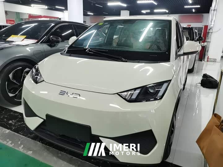 BYD Seagull 2025 Smart Drive 305km Vitality Edition - ავტომობილი ჩინეთიდან