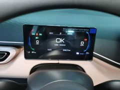 BYD Seagull 2025 Smart Drive 305km Vitality Edition - ფოტო 11
