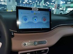 BYD Seagull 2025 Smart Drive 305km Vitality Edition - ფოტო 12