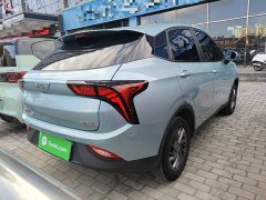 Neta V 2021 Standard Range Entertainment Edition Upgrade - ფოტო 6