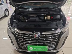 Buick GL8 2023 Land Business Class Comfort Edition - ფოტო 19