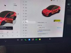 Tesla Model Y Rear-Wheel Drive - ფოტო 11