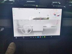 Tesla Model Y Rear-Wheel Drive - ფოტო 12