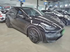 Tesla Model Y Rear-Wheel Drive - ფოტო 3