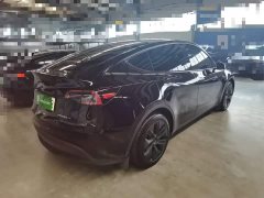 Tesla Model Y Rear-Wheel Drive - ფოტო 6