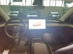 Tesla Model Y Rear-Wheel Drive - ფოტო 9