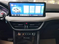 Ford Sharp 2020 EcoBoost 245 FWD Prestige - ფოტო 12