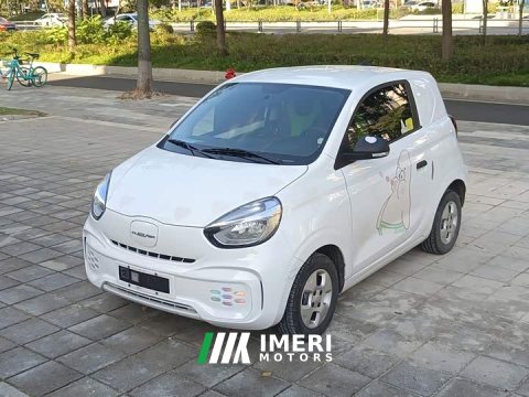 2022 SAIC Corey Wei CLEVER 2021 302km Excellence Edition - ავტომობილი ჩინეთიდან