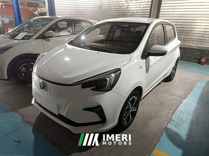 Changan Benben E-Star 2020 Heartbeat Edition Ternary Lithium - ავტომობილი ჩინეთიდან