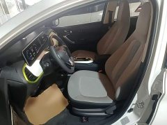 Changan Benben E-Star 2020 Heartbeat Edition Ternary Lithium - ფოტო 14