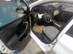 Changan Benben E-Star 2020 Heartbeat Edition Ternary Lithium - ფოტო 15