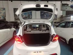 Changan Benben E-Star 2020 Heartbeat Edition Ternary Lithium - ფოტო 18