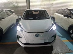 Changan Benben E-Star 2020 Heartbeat Edition Ternary Lithium - ფოტო 2