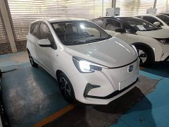 Changan Benben E-Star 2020 Heartbeat Edition Ternary Lithium - ფოტო 3