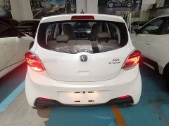 Changan Benben E-Star 2020 Heartbeat Edition Ternary Lithium - ფოტო 5