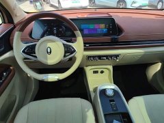 ORA Good Cat 2021 400km Standard Range Venus Edition Ternary Lithium Battery - ფოტო 12