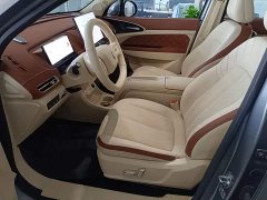 ORA Good Cat 430km Deluxe Edition - ფოტო 14