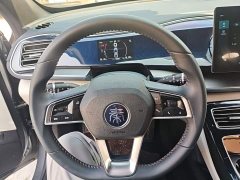 BYD Qin Plus 2021 DM-i 55KM Flagship - ფოტო 10
