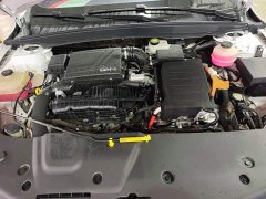 BYD Qin Plus 2021 DM-i 55KM Flagship - ფოტო 19