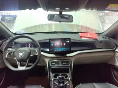 BYD Qin Plus 2021 DM-i 55KM Flagship - ფოტო 9