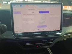 Volkswagen Magotan 380TSI DSG Premium Edition - photo 13