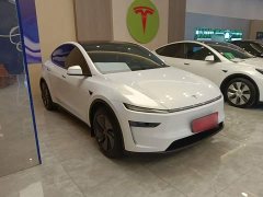Tesla Model Y Rear-Wheel Drive Launch Edition - ფოტო 3