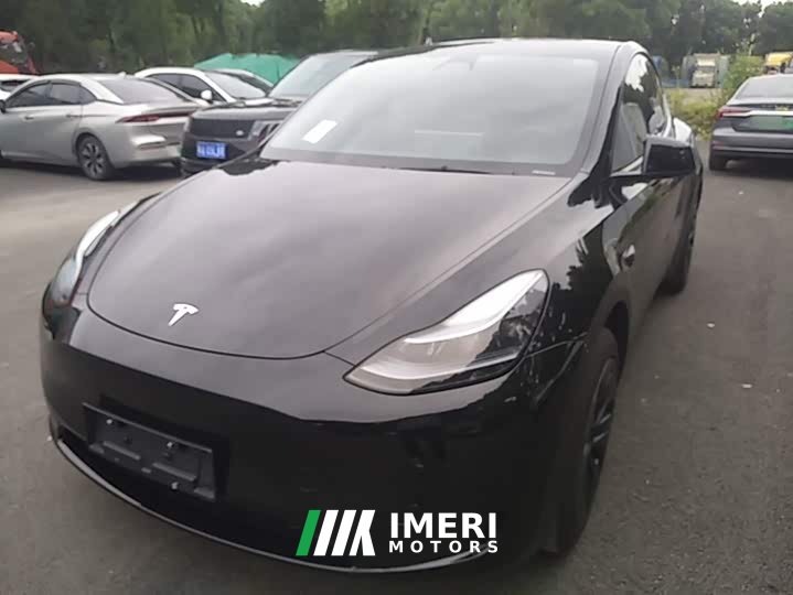 Tesla Model Y Rear-Wheel Drive
