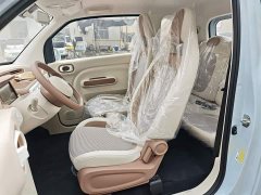 FAW Besturn Xiaoma 222km Cute Horse Plus - ფოტო 15