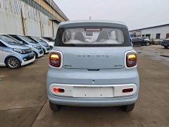 FAW Besturn Xiaoma 222km Cute Horse Plus - ფოტო 6