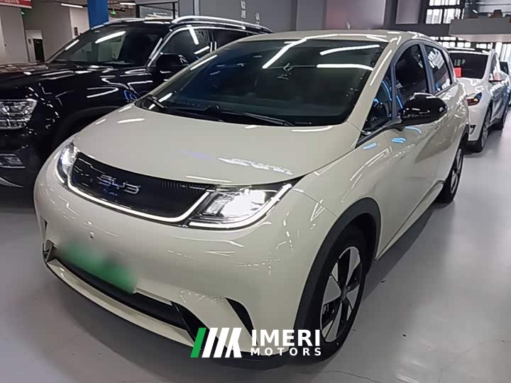BYD Dolphin 420km Freedom Edition