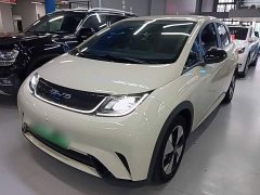 BYD Dolphin 2023 420km Freedom Edition - ფოტო 1