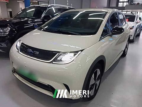 2024 BYD Dolphin 420km Freedom Edition