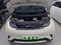 BYD Dolphin 2023 420km Freedom Edition - ფოტო 19