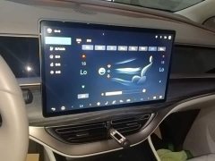 Denza D9 2022 DM-i 970 AWD Flagship - ფოტო 13