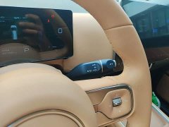 Wuling Starlight 730 New Energy PHEV 125km Luxury - ფოტო 13