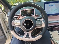BYD Seagull Freedom Edition - ფოტო 10