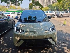 BYD Seagull Freedom Edition - ფოტო 2