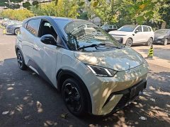 BYD Seagull Freedom Edition - ფოტო 3