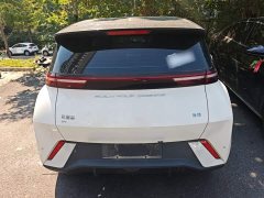 BYD Seagull Freedom Edition - ფოტო 5