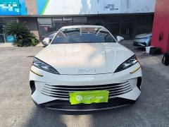 BYD Seal 07 DM-i 1.5L 125km Elite - ფოტო 2